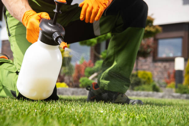 Best Termite Control Services  in Wliamsvle, IL