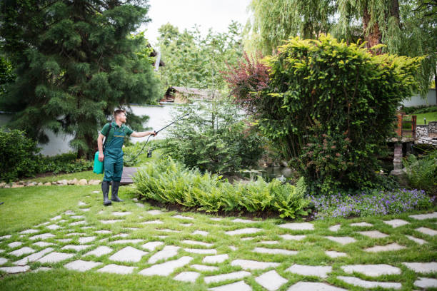 Best Pest Control Treatment  in Wliamsvle, IL