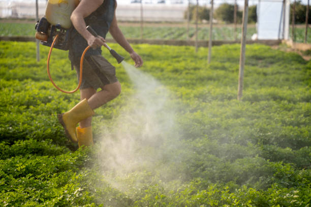 Best Pest Prevention Services  in Wliamsvle, IL