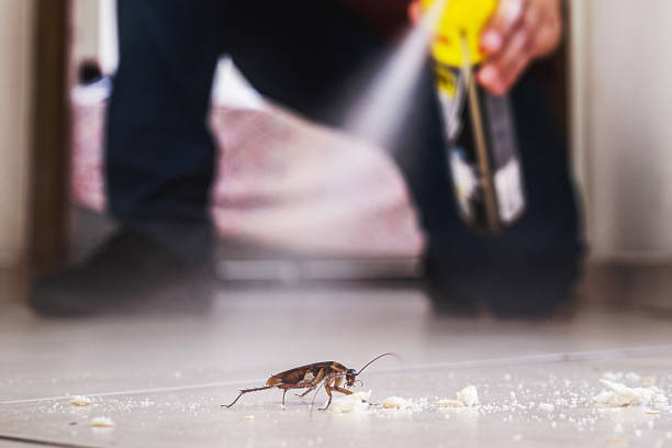 Best Pest Control for Restaurants  in Wliamsvle, IL