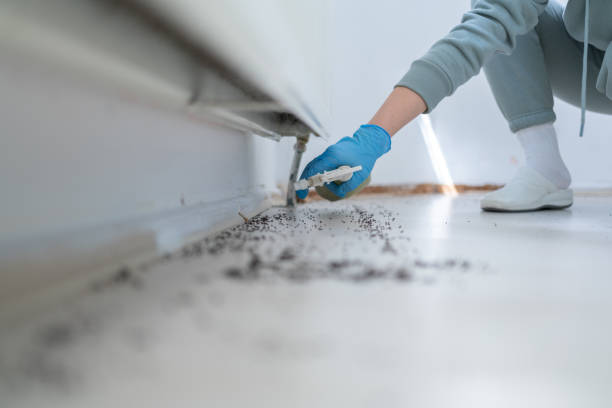 Best Emergency Pest Control  in Wliamsvle, IL