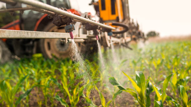 Best Mosquito Control Services  in Wliamsvle, IL